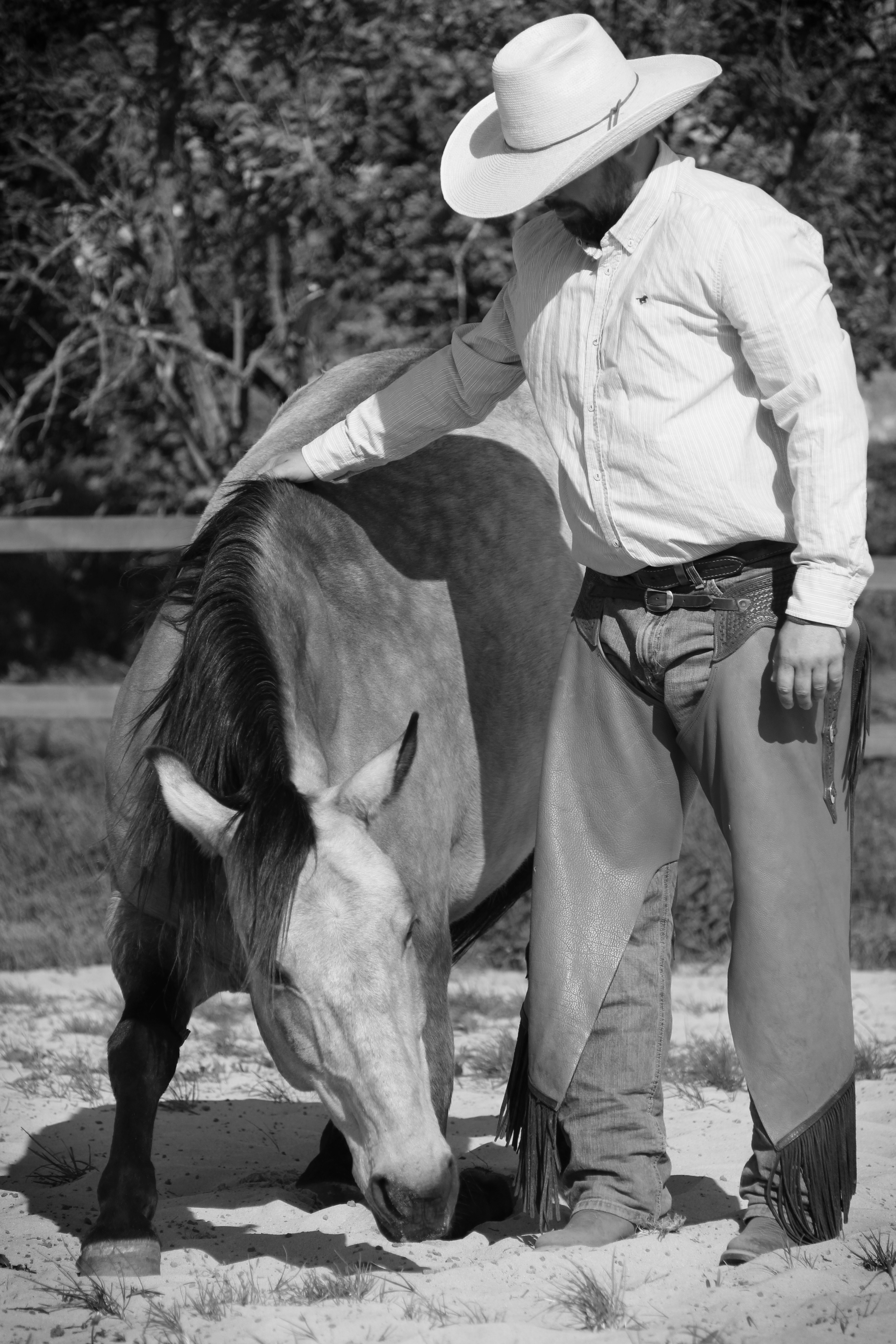 Mišo a Mango - 338bw