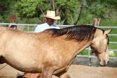 Mišo a Mango - 120