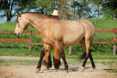 Mišo a Mango - 149